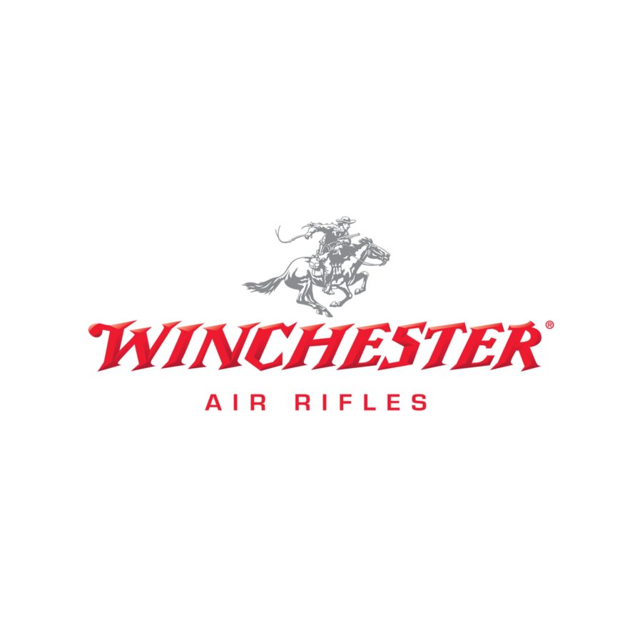 Winchester 1100S break barrel air rifle Daisy