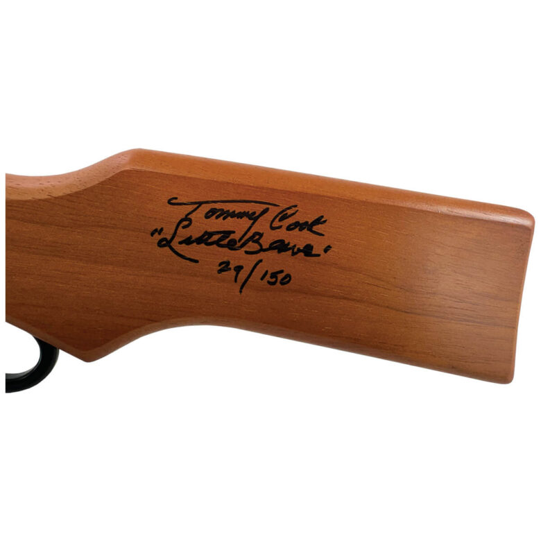 BB Gun, BB rifles, Pump Rifle, Pellet Rifle, Red Ryder - DAISY